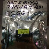 ARTEMİYA YUMURTASI (25Gr) - 2
