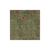 Sera Flora 100 gr (Orijinal Kovasından Bölme) sera flora 250 gr - 2