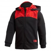 Adidas Erkek Ã‡ocuk Ãœst Marvel Spider Hoodie DV0829 - 1