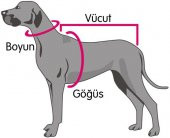 KEDİ VE KÖPEK İÇİN SECURİTY ELBİSE,KIYAFET, XS-S-M-L BEDEN - 9