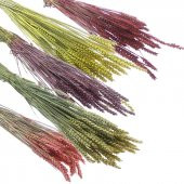 1 Bağ Kurutulmuş Doğal Renkli Buğday Başağı Tarwe - 1