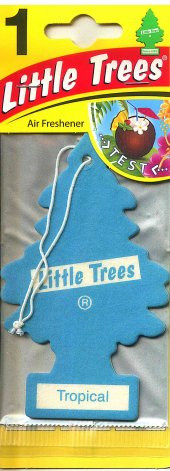 Little Trees - 1