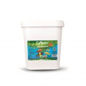 ArtAkua Spirulina Pul Yem 100 Gr - 1