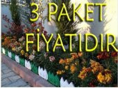 24 ADET DEKORATİF GEÇİRMELİ RENKLİ BAHÇE ÇİTİ 3 PAKET - 1