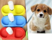 FinePet Kedi ve Köpek İçin Otomatik Su ve Mama Kabı - 4