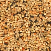 Quik Junior Yavru Muhabbet Kuşu Yemi 400gr 12'li - 7