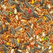 Quik Paraket Yemi 750 gr 6'lı - 9