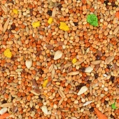 Quik Konuşturucu Yem 150 gr 12'li - 10