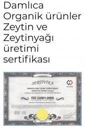 Damlıca Natural Sızma Zeytinyağı 5 Lt. - 2