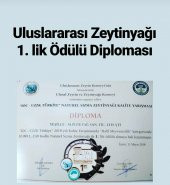 Yeşilce 5 Lt Teneke Soğuk Sıkım Naturel Sızma Zeytinyağı - 2