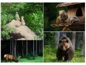 Fotokapan PIR Sensörlü Kamuflaj Kamera - 9