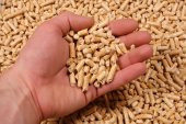 NATUREL ÇAM PELET KEDİ KUMU 10 KG - 1