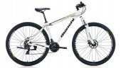 Bianchi Aspid 39 29 Jant Disk Fren Dağ Bisikleti - 1