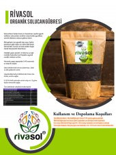 Ticari Solucan Gübresi Üretim Tesisi Kurulumu ve Desteği - 2