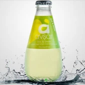 Avşar Kivi Limon Aromalı Maden Suyu 200 Ml X 24 Adet - 2