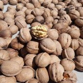 MARAŞ 18 BERTİZ KALAYCI CEVİZİ 1 kg - 3