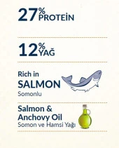 Felicia 3 Kg Yetişkin Somonlu M/Large Az Tahıllı Breed HypoAllergenic Köpek Maması - 9