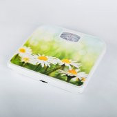 Cvs Dn 1741 Analog Baskül - Resimli Mekanik Banyo Tartısı thumbnail 3