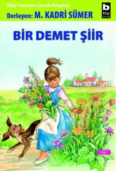 Bir Demet Şiir - Mehmet Kadri Sümer - 1