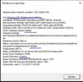 Windows 10 Pro. + Microsoft Office 2019 Pro. Lisans Anahtarı - RETAİL KEYLER (KAMPANYALI ÜRÜN) - 2