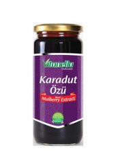Karadut Özü 300 Gram - 1