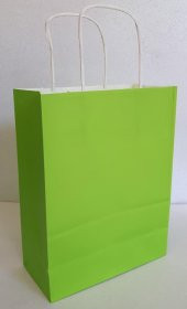 KRAFT KAĞIT ÇANTA YEŞİL 25CM X 30CM - 1 ADET - 1