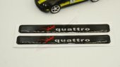 Audi Quattro Gecko Logo 3M 3D Damla Silikon Torpido Ayna Çamurluk - 3