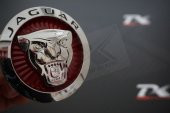 Jaguar Ön Panjur Izgara Panter 3M 3D Logo thumbnail 1