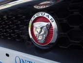 Jaguar Ön Panjur Izgara Panter 3M 3D Logo thumbnail 3