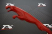 Jaguar Panter Bagaj 3M 3D Metal Logo Amblem thumbnail 3