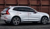 Porsche Logo Kapı Kenarı Koruma Şeffaf Kauçuk 3M Band New Style - 4