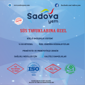 5 KG 101 SADOVA SÜS CİVCİV YEMİ (BAŞLANGIÇ) - 3