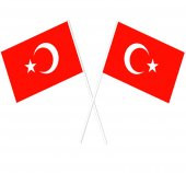 50li Türk Bayrağı Baskılı Çubuklu Bayrak - 1