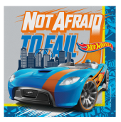 HOT WHEELS PEÇETE 16LI - 1