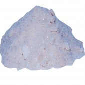LokmanAVM Naftalin Toz Pul 1000 Gr Pkt - 5