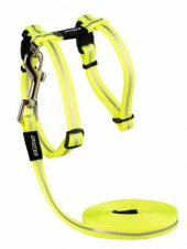 Rogz Kedi Göğüs Tasması Seti Reflektorlü Sarı Small 11 Mm 24-40 Cm - 1