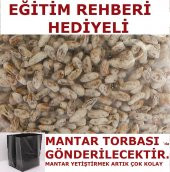 2000 Adet KÜLTÜR MANTARI TOHUMU MİSELİ + MANTAR TORBASI + EĞİTİM KILAVUZU - 1