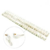 Kuş Minik Simli Beyaz 50 Adet - 1