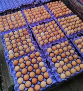 30'Lu Karton Yumurta Viyolü - 250 Adet ( Viyol, Kolisi, Kabı, Kartonu ) - 3