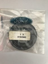 FORD TRANSİT MAHRUTİ KEÇE - 2
