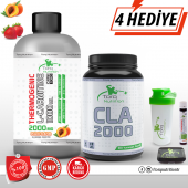 Torq Nutrition Thermogenic L-Carnitine 2000 MG - 1000 ML + CLA 2000 - 100 Kapsul - 1