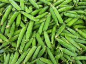 YENİ MAHSUL KABUKLU TURFANDA TAZE BEZELYE (1 KG.) - 1