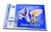 UMUR RESIM KAGIDI 35X50 100 LU (2096) - 2