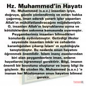 Hz MUHAMMED in HAYATI Alemlere Rahmet Peygamberi ŞAMUA - 2