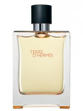 Hermes Terre D Hermes Edt Erkek Parfüm 100 ml - 2