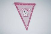 FLAMA İLK DİŞİM PEMBE - 1