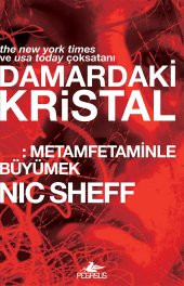 Damardaki Kristal: Metamfetaminle Büyümek - 1