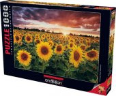 Günbatımında Ayçiçekleri 1000 Parça Puzzle - 1