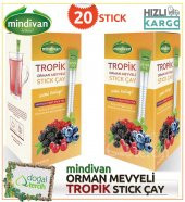 Mindivan Tropik Meyveli Stick Çay 20 li - 1