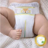 Prima Bebek Bezi Premium Care 5 Beden Junior Aylık Fırsat Paketi - 3